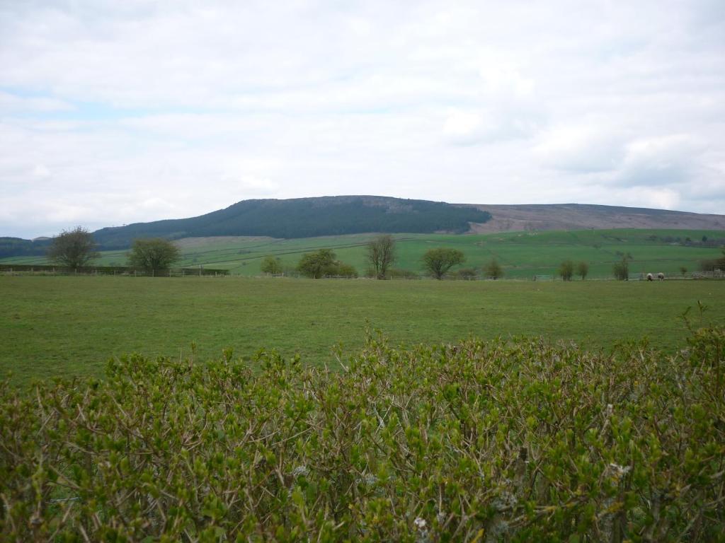 Bed and Breakfast The Craven Heifer Addingham Номер фото